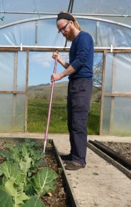 One of Pilsdon's volunteers working in our polytunnel